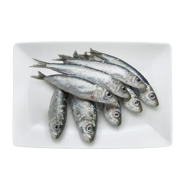 Sardina